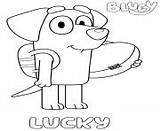 Coloring Pages Lucky Bluey Labrador sketch template