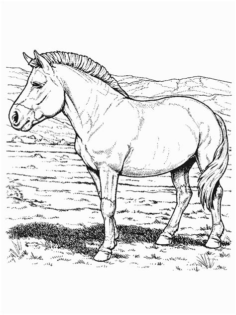 coloring page horse animal coloring pages
