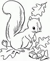 Coloring Pages Preschool Fall Autumn Color Season Printable Squirrel Popular Library sketch template
