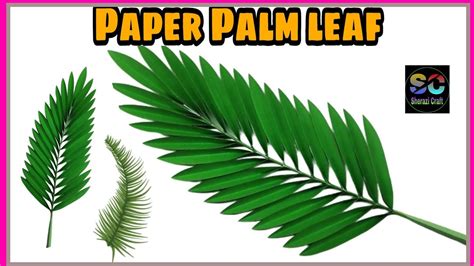 paper palm leaf  sherazi craft youtube
