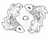 Betta Coloring Fish Pages Printable Getdrawings Guess Much Adult Color Designlooter Getcolorings sketch template