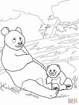 Coloring Panda Baby Pages Mother Pandas Printable Drawing Comments sketch template
