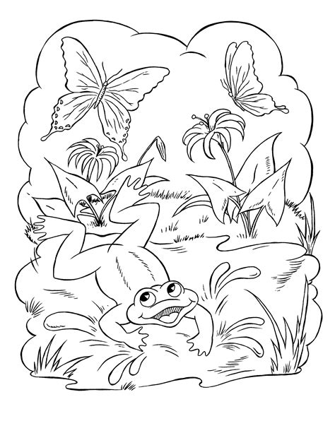 frog coloring pages  graphics fairy