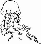 Jellyfish Qualle Ausmalbilder Kolorowanki Medusas Kwal Meduzy Kleurplaat Druku Medusa Ausmalbild Kleurplaten Mandala Kolorowanka sketch template