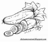 Mewarnai Cucumber Sayuran Sketsa Hitam Putih Sayur Concombres Diwarnai Cucumbers Drawn sketch template