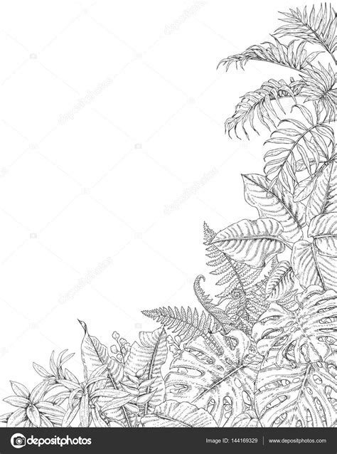 tropical plants corner background stock vector  valiva