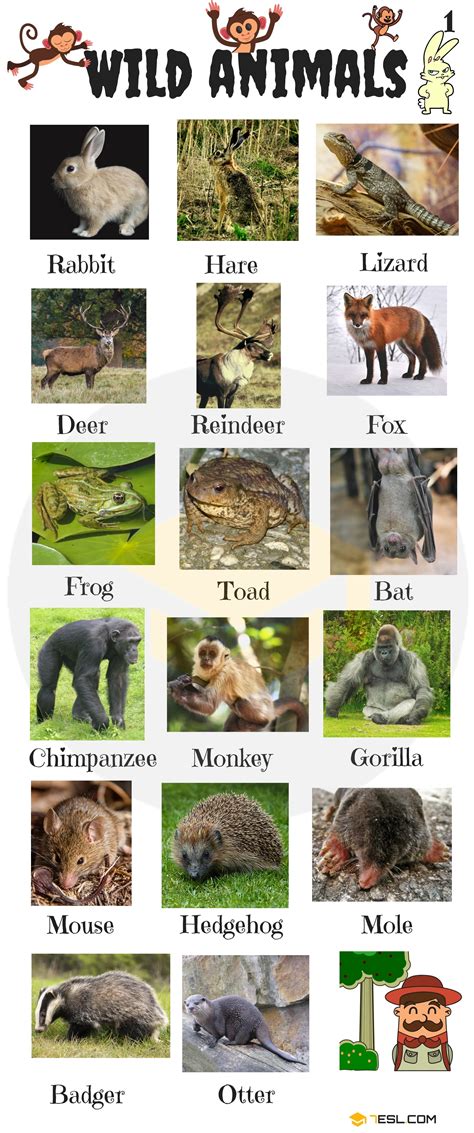wild animals list  wild animal names  english  images