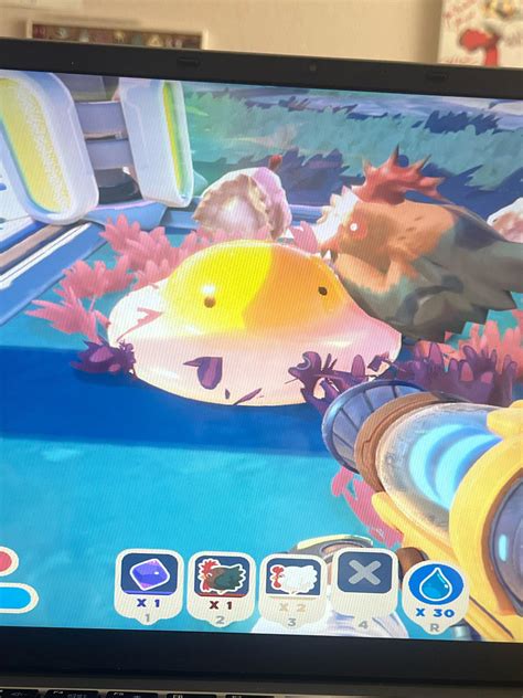 caught   yolky slime rslimerancher