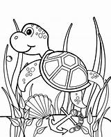 Coloring Topcoloringpages Indiaparenting Tortoise Turtles sketch template