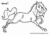 Coloring Pages Baby Horses Popular sketch template