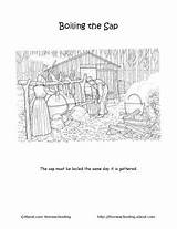 Maple Syrup Sugaring Coloring Into Printables Choose Board Activities sketch template