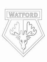 Watford Leicester Colorear Dibujosparaimprimir sketch template