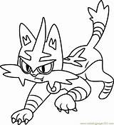 Torracat Litten Zygarde Tapu Legendary Lycanroc Pokémon Lele Mewarn11 Getdrawingscom Coloringpages101 Worksheets sketch template