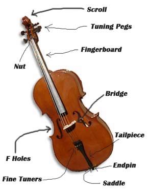 parts  cello  zone