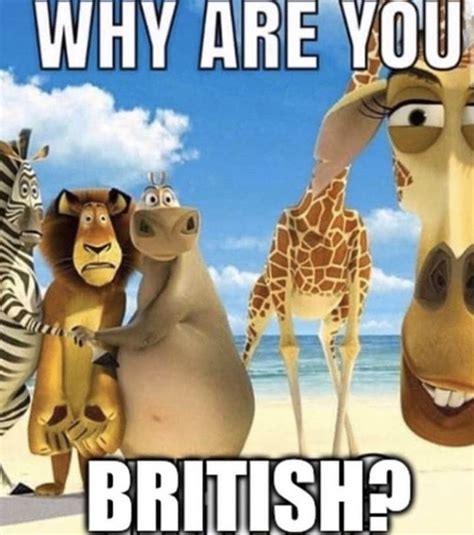 memes madagascar lol british memes funny memes funny laugh