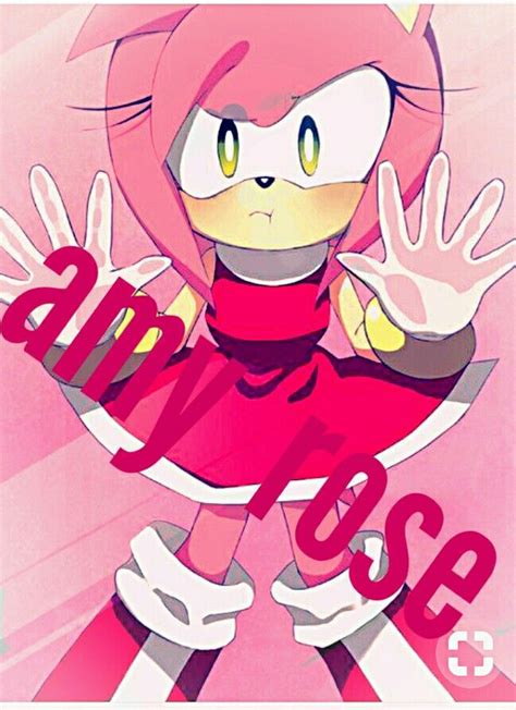 pin by larissa andrews on sonic fondos rosy the rascal anime amy rose