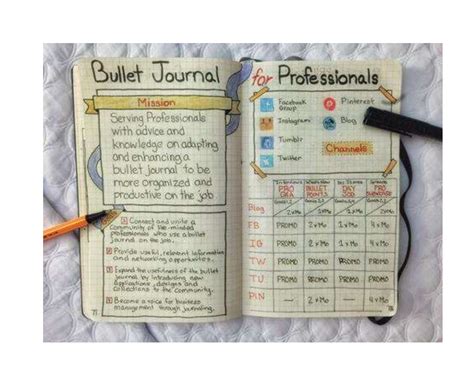 bullet journal  examples format  examples