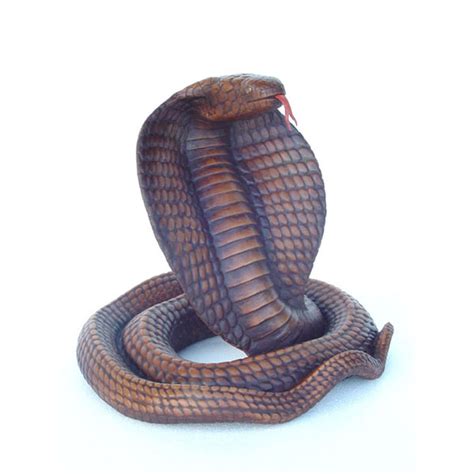 cobra snake