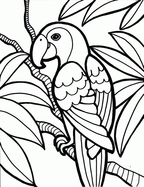 coloring pages coloring pages  kids  print  color pages