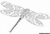 Dragonfly Coloring Intricate Pages Inspirational Printable Drawing Categories sketch template