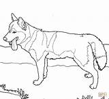 Coloring German Shepherd Pages Dog Printable Popular sketch template