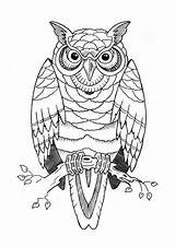 Owl Tattoo Drawing Tattoos Designs Outline Printable Stencils Idea Owls Stencil Deviantart Drawings Print Patterns Branch Fc07 Sketches Fs71 Tree sketch template