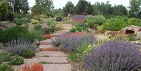 garden plants year   backyard landscape design  pavers  xeriscape landscaping ideas
