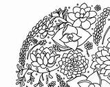 Succulent Coloring Pages Getdrawings Getcolorings sketch template