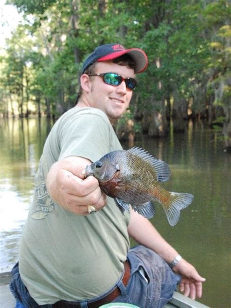 upstate outdoors bream are willing and here s how to catch them