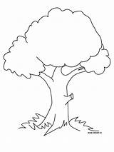 Coloring Pages Tree Trees Printable Kids sketch template