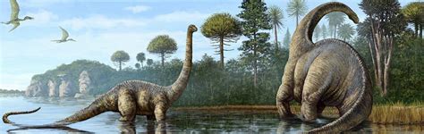 Sauropods Answers In Genesis