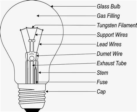 science    light bulbs   structure