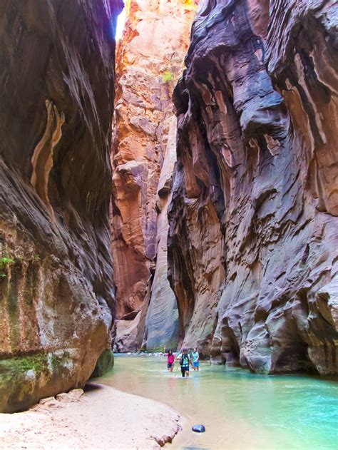 incredible zion day hikes  hikers guide  zion national park