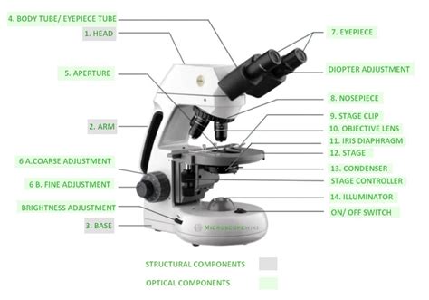 compound microscope diagram parts labelled principle