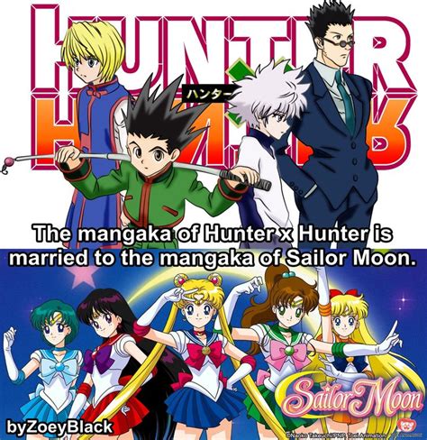 17 Best Images About Hunter X Hunter Stuff On Pinterest Hunters Ants