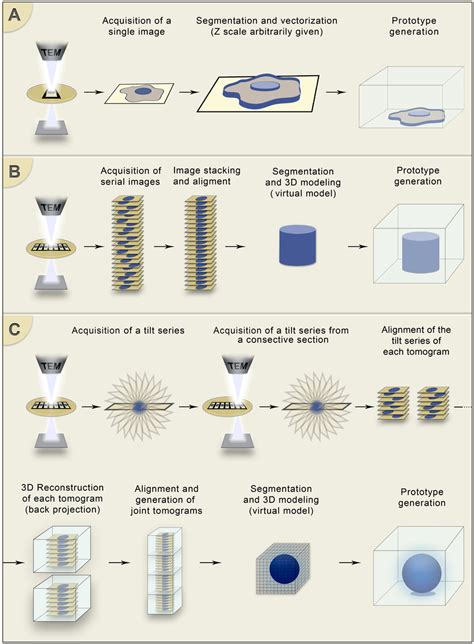 schematic representation   techniques   obtain   models  scientific