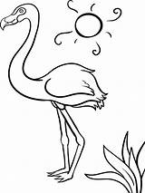 Flamingo Coloring Pages Pink Drawing Print Cartoon Simple Flamingos Birds Color Printable Getdrawings Template Cool Simply Chickadee Colorings Recommended sketch template
