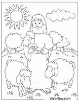 Sheep Shepherd Verbnow Parable sketch template