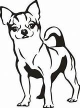 Chihuahua Clipart Drawing Dog Stencil Silhouette Dogs Line Animal Clip Google Zeichnungen Deer Search Svg Scroll Saw Coloring Hund Patterns sketch template