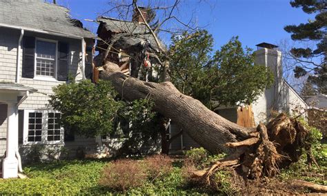 tree crashes  towson home wbal radio