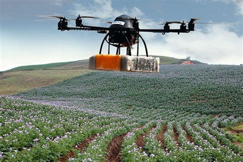 drones set  give global farming  makeover spud smart