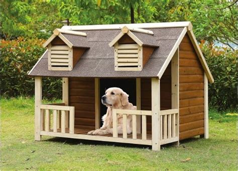 totally amazing dog houses cuteness