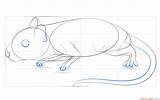 Draw Gerbil Step sketch template