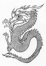 Dragon Japanese Line Drawing Getdrawings sketch template