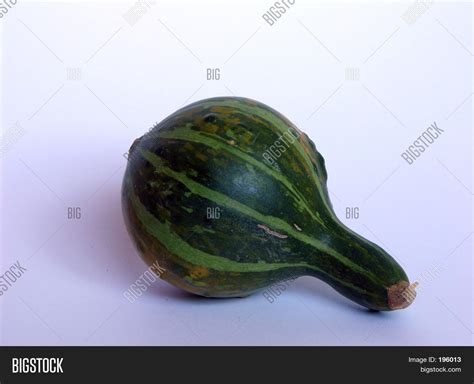 green gourd image photo  trial bigstock