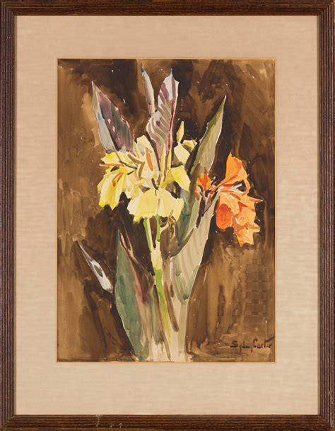 canna lilies by sydney carter strauss and co