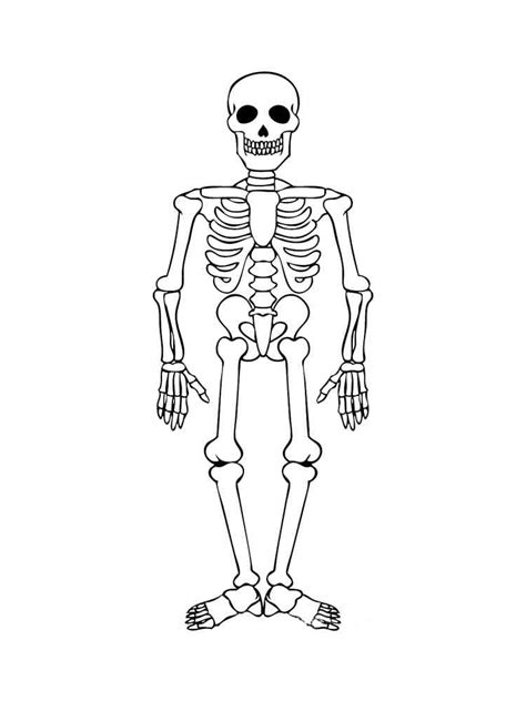 cute skeleton coloring page    svg file