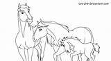 Horse Lineart Paard Orb Stallion Cimarron Colouring Drawings Fc04 Foals Paarden sketch template