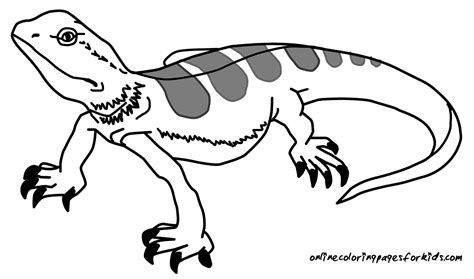 lizard coloring pages printable print color craft
