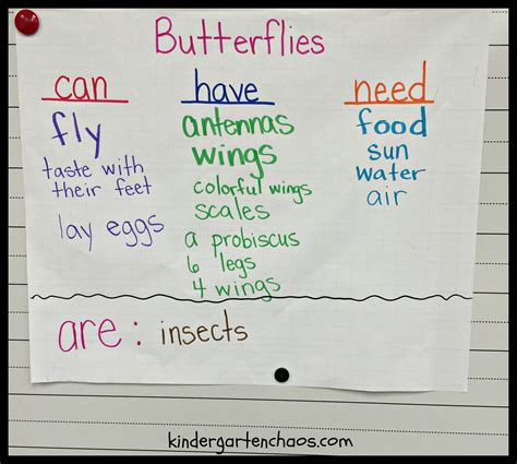 butterfly writing anchor chart kindergartenchaoscom kindergarten chaos